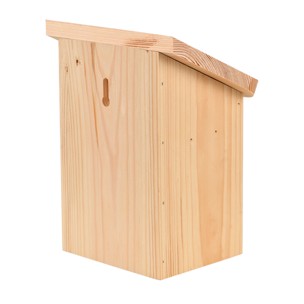 Diapositief bijenhuis