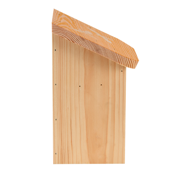 Diapositief bijenhuis