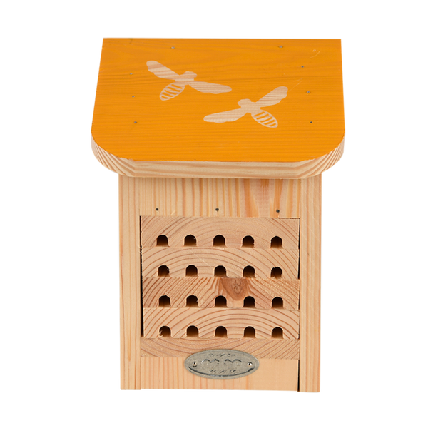 Diapositief bijenhuis