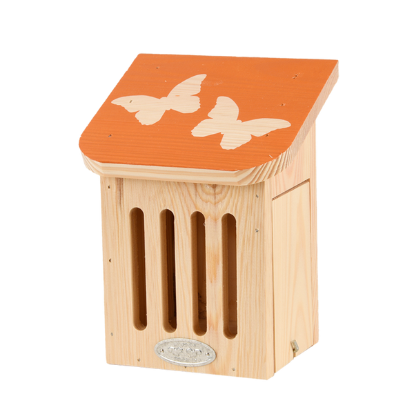 Diapositief vlinderkast