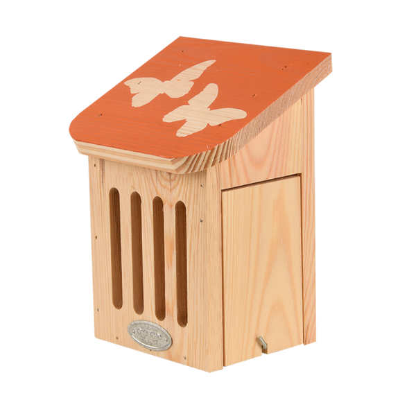 Diapositief vlinderkast