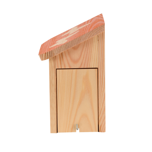 Diapositief vlinderkast