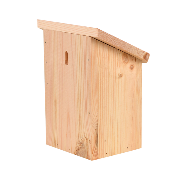 Diapositief vlinderkast