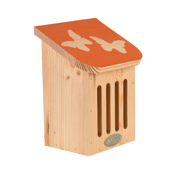 Diapositief vlinderkast