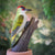 DecoBird - Groene Specht