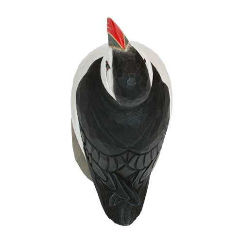 DecoBird -Papegaaiduiker