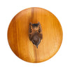 Houten kistje - Winterkoning