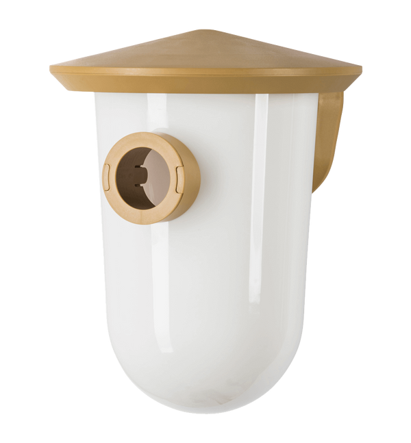 SingingFriend - breedR bruin