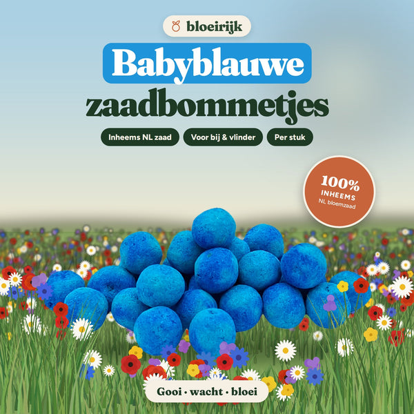 Babyblauwe zaadbommetjes van bloeirijk in een bloemenweide