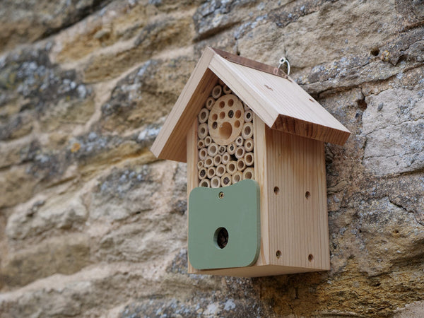 Bee Barn - Bijenschuur