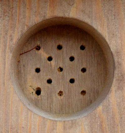 Grote Bonte Specht Nestkast FSC-hout 54cm | Esschert Design – foto 5