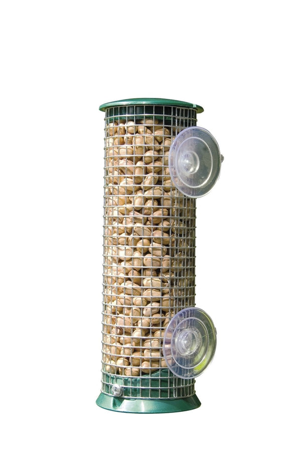 Discovery Raamsilo Pinda