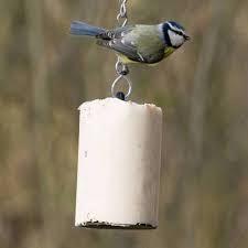 Pindacake met insecten 500ml