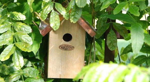 Winterkoning Nestkast Koperen Dak 30mm | Esschert Design – foto 2