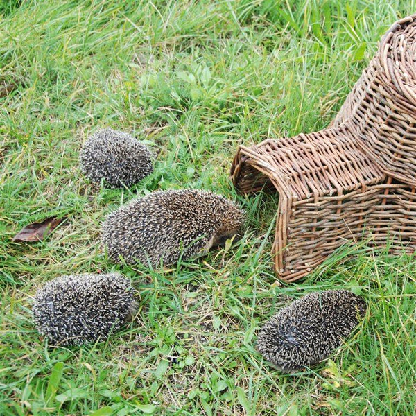 Egelmand van Wilgentakken - Egelhuis voor de Winter | Esschert Design – foto 2