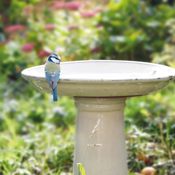 Vogelbad keramiek op voet crème – foto 2