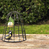 Selectieve Vogelvoederkooi
