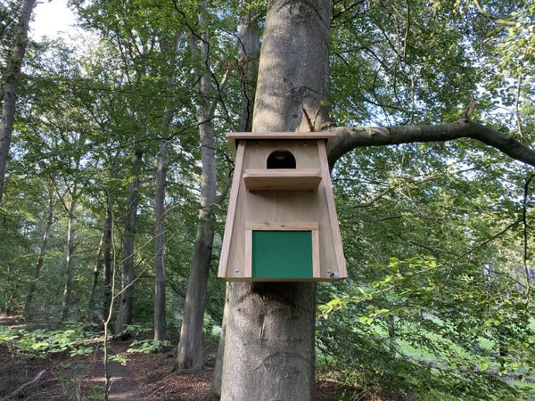 CaptureWILD - Kerkuil