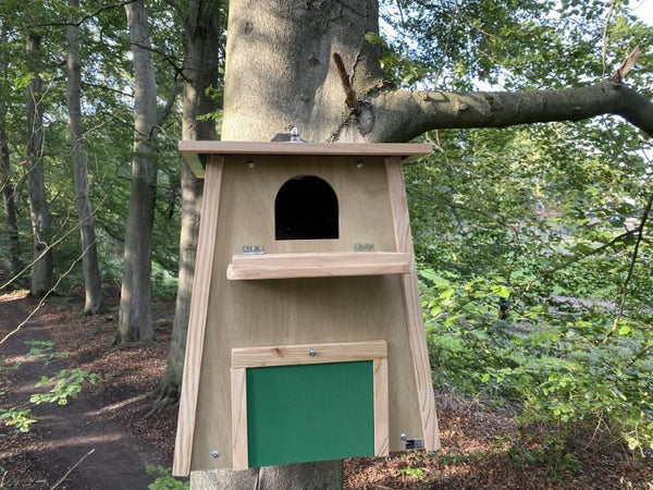 CaptureWILD - Kerkuil