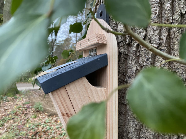 Boomklever Nestkast Taps Toelopend | Kooprijk – foto 5