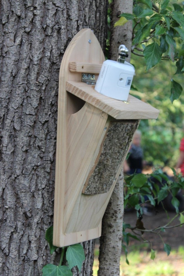 CaptureWILD - Boomklever