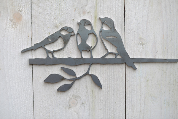 Birdwise - Koolmees trio