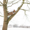 Steenuil Nestkast Vurenhout met Zinken Dak | Esschert Design