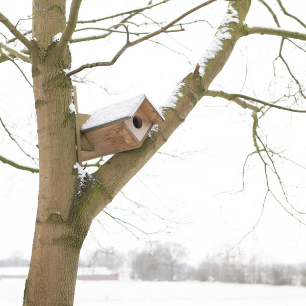 Steenuil Nestkast Vurenhout met Zinken Dak | Esschert Design