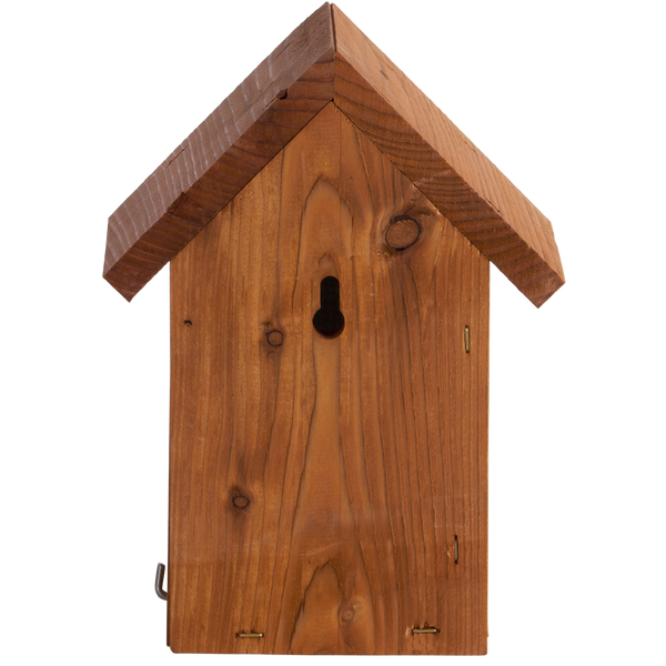 Nestkast Winterkoning Douglas Hout