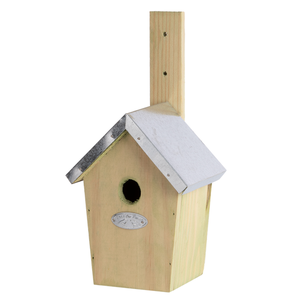 Winterkoning Nestkast 30mm Bodemopening | Esschert Design – foto 5