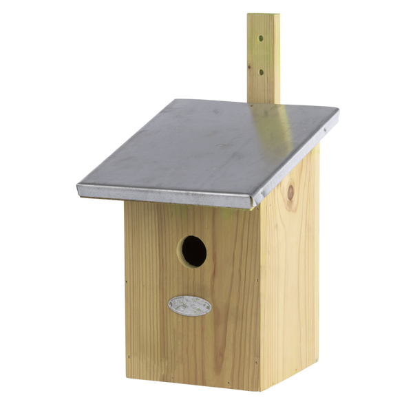 Spiegel koolmees vogelhuisje