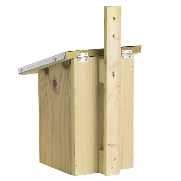 Spiegel koolmees vogelhuisje