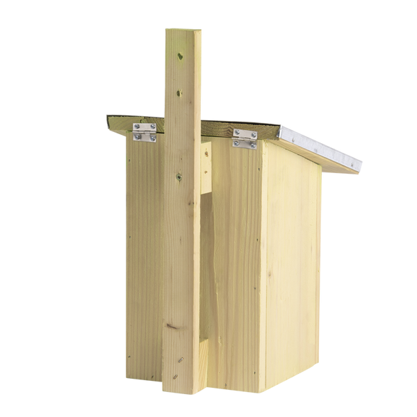 Spiegel koolmees vogelhuisje