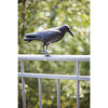 Vogelverschrikker Kraai voor Balkon en Moestuin – Duivenverjager | Esschert Design – foto 3