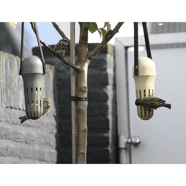 SingingFriend -Max beige