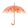 Paraplu boomkroon herfst