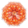 Paraplu boomkroon herfst