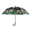 Kleur veranderende paraplu vogel