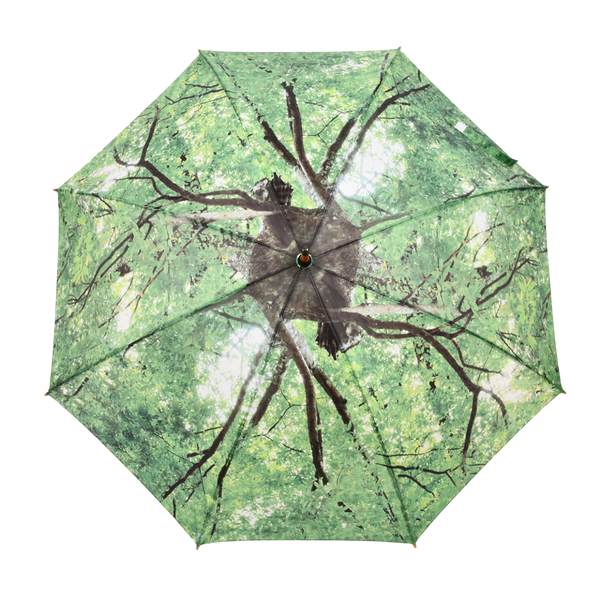 Paraplu boomkroon