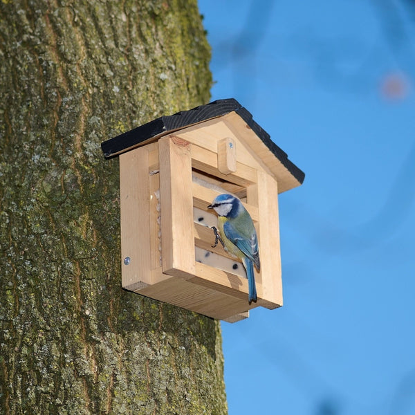 Vetblokhouder Zwin – in de tuin