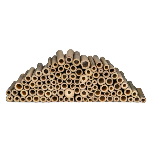 Bamboe Navulbuisjes 90mm – in de tuin
