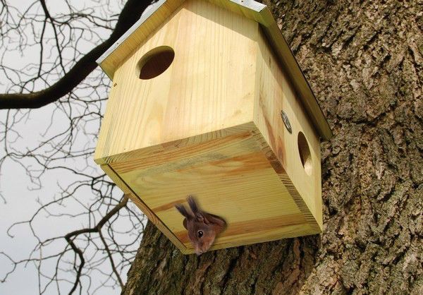 Eekhoornhuis Vurenhout met Zinken Dak – Nestkast voor Eekhoorns | Esschert Design