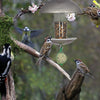 Voedersilo vogels met paal