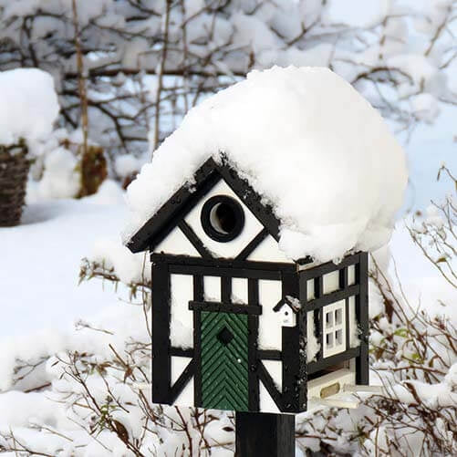 Vogelhuisje Korsvirke Svart 2-in-1 Lariks-hout | Wildlife Garden