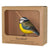 Vogelbeeldje Pimpelmees – Handgesneden Houten Decoratievogel | DecoBird Wildlife Garden – foto 3