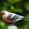 Vogelbeeldje Goudvink – Handgesneden Houten Decoratievogel | DecoBird Wildlife Garden