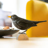 Vogelbeeldje Merel – Handgesneden Houten Decoratievogel | DecoBird Wildlife Garden