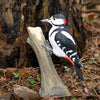 DecoBird - Bonte Specht