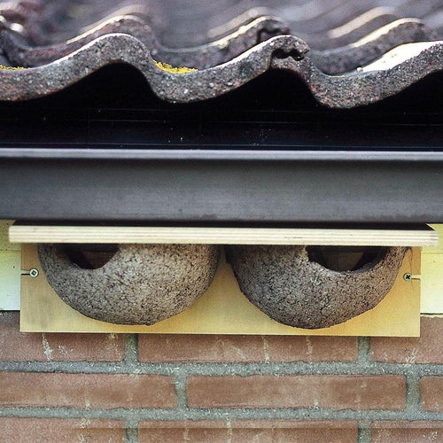 Nestkast voor zwaluwen