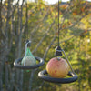 Vetbolhanger Zwart voor Vogelvoer – Ophangbaar met Ring | Born in Sweden